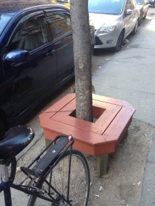 Tree Pit Bench in front of Siena Espresso and Juice Bar